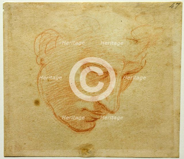 Head Study to the Sistine Chapel ceiling, ca 1509-1510. Artist: Buonarroti, Michelangelo (1475-1564)