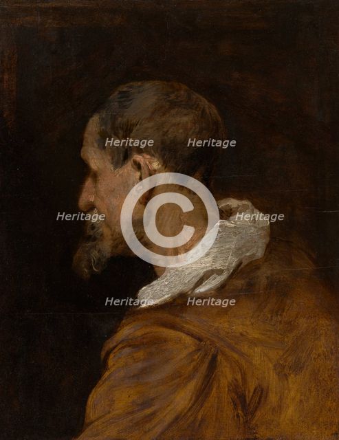 Head Study, c1618-1620. Creator: Anthony van Dyck.