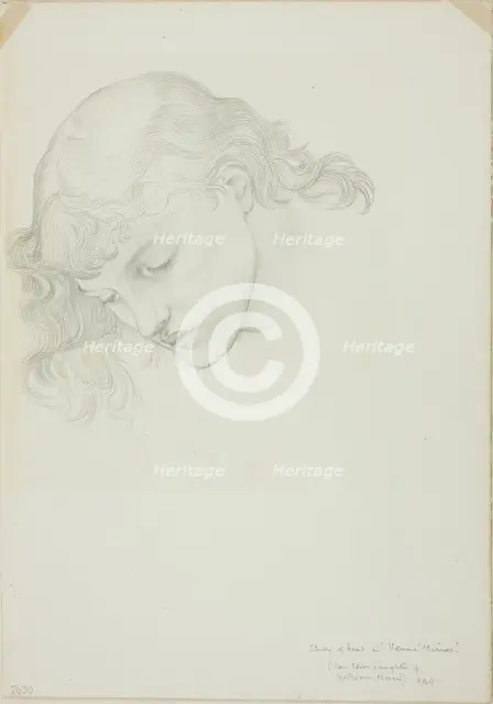 Head, Study for Mirror of Venus, c. 1873-77. Creator: Sir Edward Coley Burne-Jones.