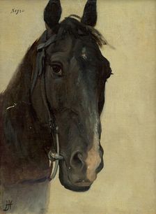 Head study of a black horse, 1890-1900. Creator: Jozef Hanula
