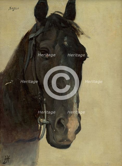 Head study of a black horse, 1890-1900. Creator: Jozef Hanula.