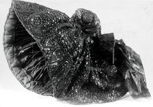 Headdress, Austria, 19th century. Creator: Unknown