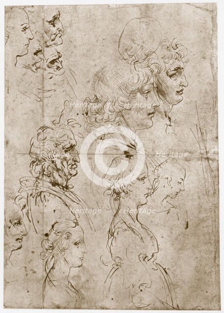 'Heads of Girls, Young and Old Men', 1478-1480. Artist: Leonardo da Vinci