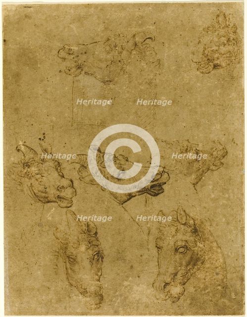 Heads of Horses and Unicorns, 1530/40. Creator: Unknown.