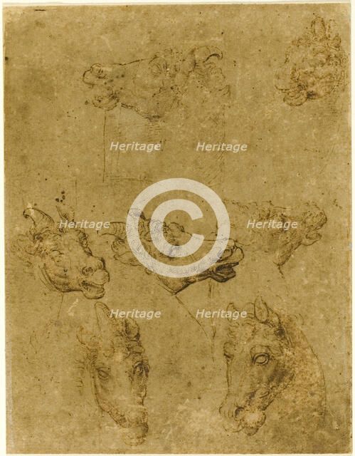 Heads of Horses and Unicorns, 1530/40. Creator: Unknown.