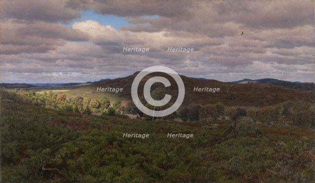 Heath landscape from Halland Cloudy September day, 1883. Creator: Niels Skovgaard.