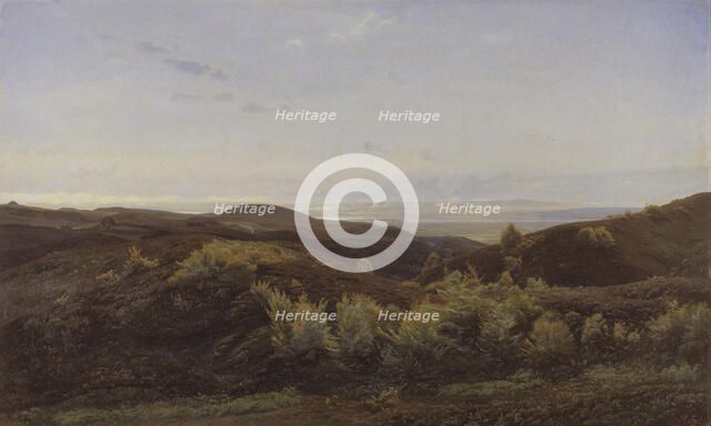 Heather Hills near Rye, Jutland, 1887. Creator: Harald Foss.