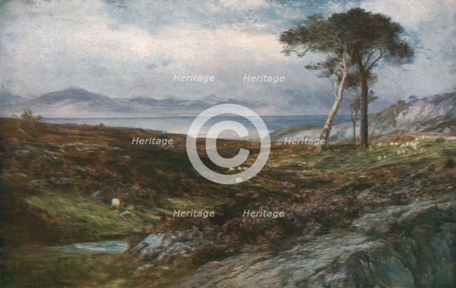 'Heather: Scottish Highlands', c1910, (c1930).  Creator: John MacWhirter.