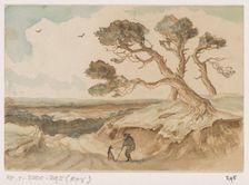 Heathland, 1880. Creator: Johannes Tavenraat