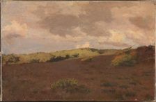 Heathland, autumn, 1902. Creator: Christian Mourier-Petersen