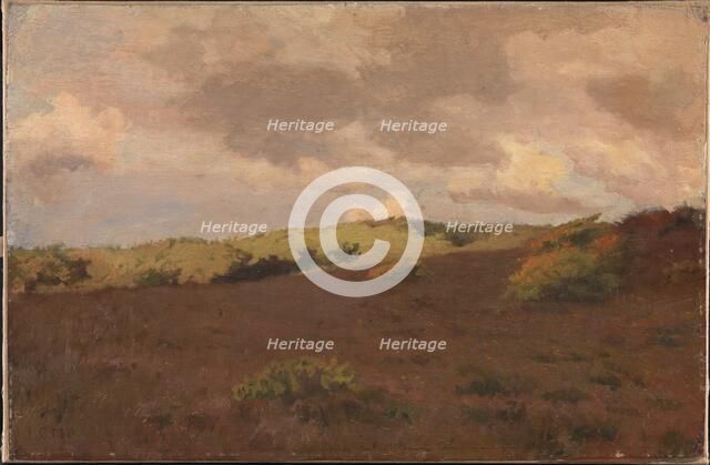 Heathland, autumn, 1902. Creator: Christian Mourier-Petersen.