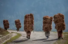 Heavy Load. Creator: Dorte Verner