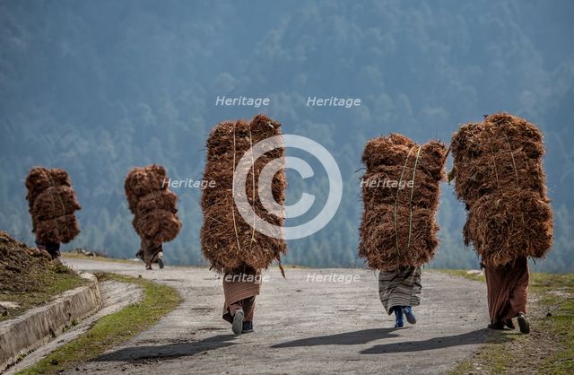Heavy Load. Creator: Dorte Verner.