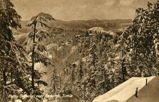 Heavy Snowfall near Kasumti, Simla c1918-c1939. Creator: Unknown