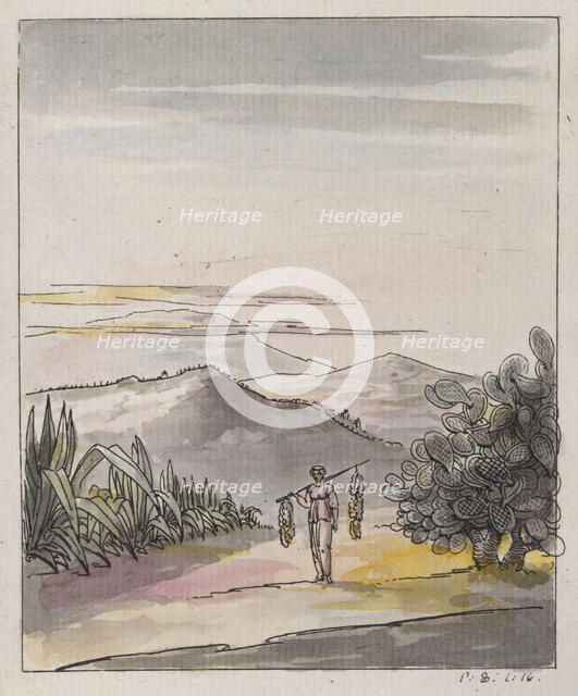 Hedges of Aloes and Fig Trees, 1786.  Creator: Elias Martin.