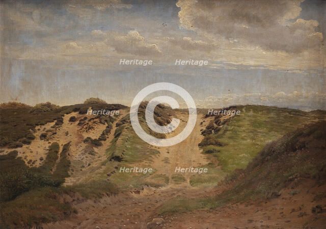 Hedevej near Hadsund, 1867. Creator: Harald Foss.