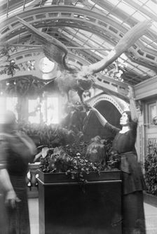 Helen Keller, 1913. Creator: Bain News Service