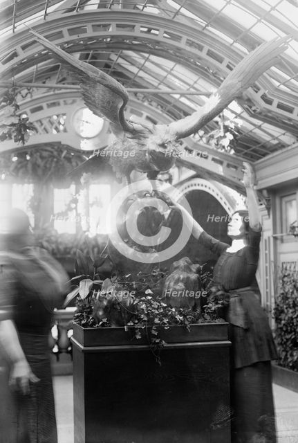 Helen Keller, 1913. Creator: Bain News Service.