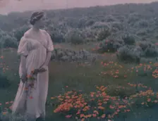 Helen MacGowan Cooke picking California golden poppies in a field, between 1906 and 1911. Creator: Arnold Genthe