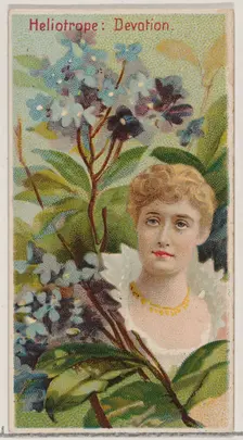 Heliotrope: Devotion, from the series Floral Beauties and Language of Flowers (N75) for Du..., 1892. Creator: Donaldson Brothers