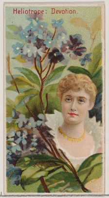 Heliotrope: Devotion, from the series Floral Beauties and Language of Flowers (N75) for Du..., 1892. Creator: Donaldson Brothers