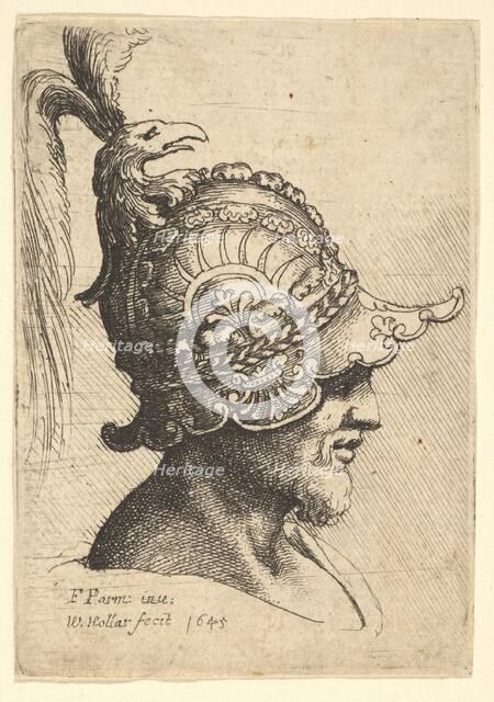 Helmeted Head wtih Bird's Head Crest, 1645. Creator: Wenceslaus Hollar.
