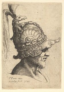Helmeted Head wtih Bird's Head Crest, 1645. Creator: Wenceslaus Hollar