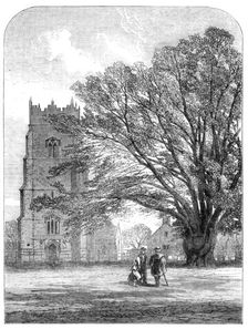 Helmingham Church, Suffolk, 1864. Creator: Unknown