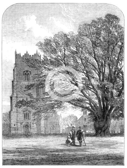 Helmingham Church, Suffolk, 1864. Creator: Unknown.