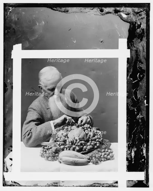 Hendley, John. Wax worker, Agriculture Dept. (His art died with him), between 1890 and 1910. Creator: Unknown.