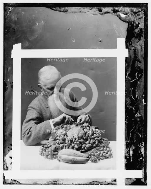 Hendley, John. Wax worker, Agriculture Dept. (His art died with him), between 1890 and 1910. Creator: Unknown.