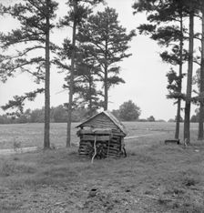 Henhouse on Negro tobacco farm, Person County, North Carolina, 1939. Creator: Dorothea Lange