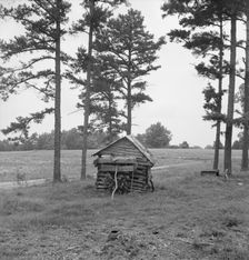 Henhouse on Negro tobacco farm, Person County, North Carolina, 1939. Creator: Dorothea Lange