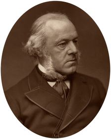 Henry Austin Bruce, 1st Baron Aberdare, statesman, 1882.Artist: Lock & Whitfield