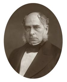 Henry Bessemer, English engineer and inventor, 1881. Artist: Lock & Whitfield