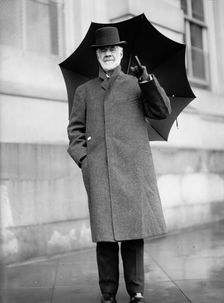 Henry Gassaway Davis, Senator from West Virginia, 1911. Creator: Harris & Ewing