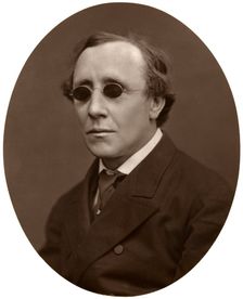 Henry Fawcett, MP, Professor of Political Economy at Cambridge University, 1876.Artist: Lock & Whitfield