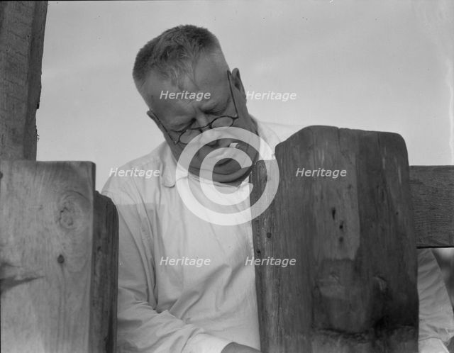 Henry Lotz closing the gate to the barns at the Midway City Dairy Association, near Santa Ana, 1937. Creator: Dorothea Lange.
