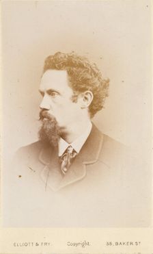 Henry Stacy Marks, R.A., c1865. Creator: Elliott & Fry