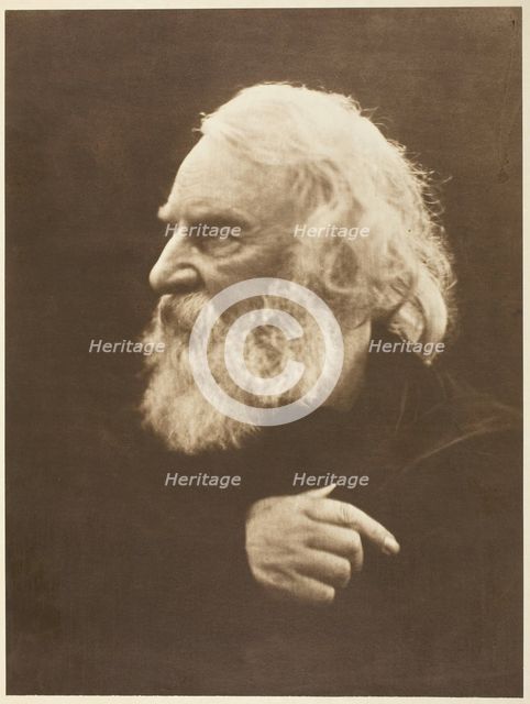 Henry Wadsworth Longfellow, 1868, printed 1875. Creator: Julia Margaret Cameron.