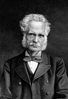 Henry Walter Bates (1825-1892), English naturalist and traveller, 1892