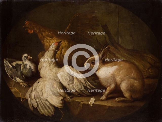 Hens, a Pigeon and a Rabbit, between 1718-1720. Creator: Giovanni Agostino Cassana.