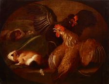 Hens and Guinea Pigs, between 1718-1720. Creator: Giovanni Agostino Cassana