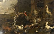 Hens, Ducks and a Turkey Cock, 1614-1652. Creator: Adriaen van Utrecht