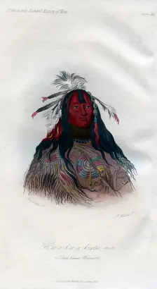 Heo-a-h'co-a-h'-cotes-min, a Flat head Warrior 1848.Artist: Harris