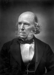 Herbert Spencer (1820-1903), late 19th century