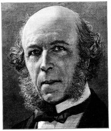 Herbert Spencer, English philosopher and sociologist, 1897. Creator: Anon