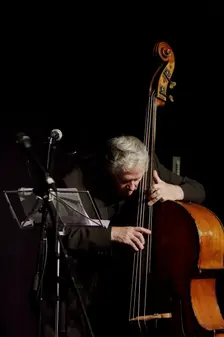 Herbie Flowers, Hawth, Crawley, West Sussex, Nov 2015. Artist: Brian O'Connor