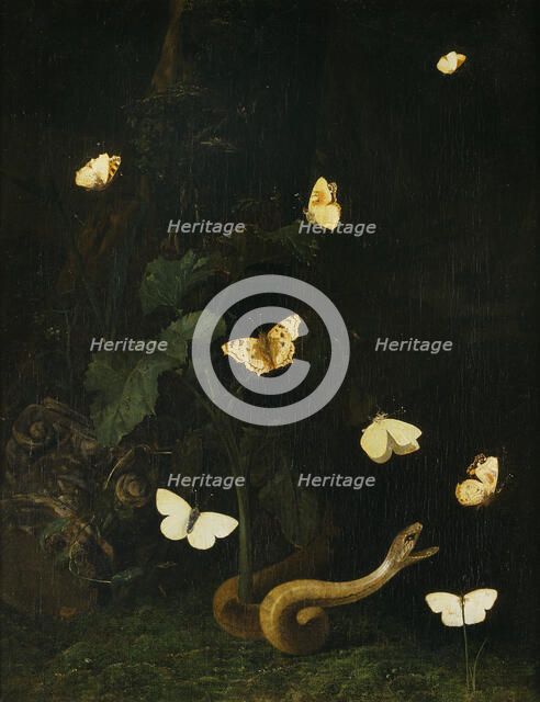 Herbs, Butterflies and a Serpent. Creator: Christian Jansz Striep.