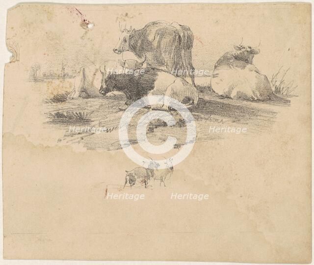 Herd of Cattle, 19th century. Creator: Unknown.